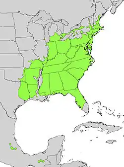 Areál rozšíření