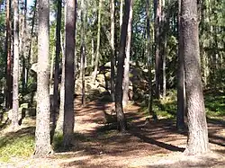 Obří postele - pohled od cesty