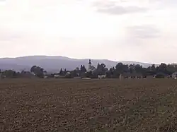 Bernartice ze silnice č. 457 od Vidnavy