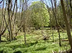 Místo zaniklé vesnice