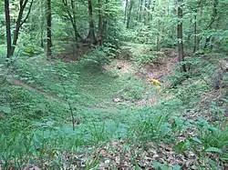 Přírodní památka Obora