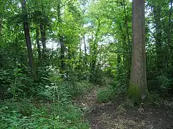 Obora v Uhříněvsi