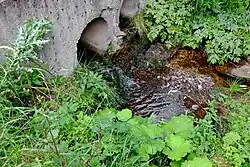 V zaniklé vesnici Břidlová