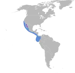 Areál rozšíření