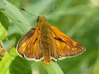 alternativní popis obrázku chybí