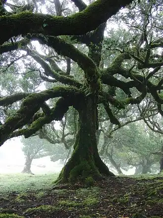 alternativní popis obrázku chybí