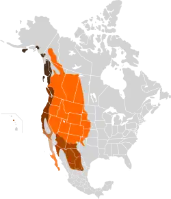 Areál rozšíření