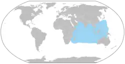 Areál rozšíření