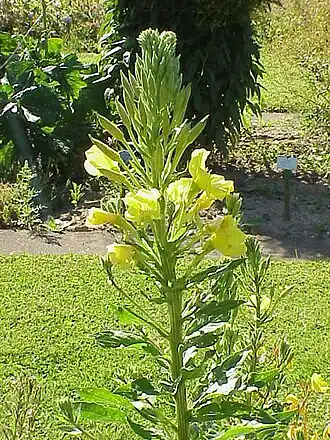 alternativní popis obrázku chybí