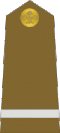 Officer Cadet
