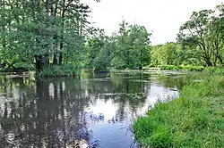 Ramena Ohře u Dasnic v červenci 2015