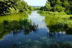 Ramena Ohře u Nebanic v srpnu 2017