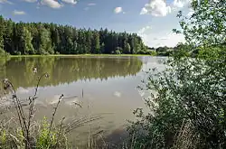 Ohradský rybník u Hamrníků