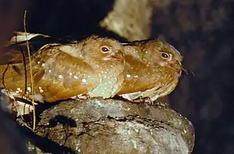 alternativní popis obrázku chybí