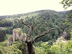 Pohled z turistické trasy Szlak Jaskini Ciemnej