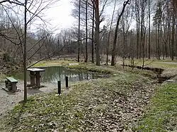 Okluk, rybník, Čavisov