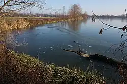 Olšový rybník s přilehlou železniční trati