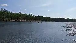 Ola nedaleko ústí do moře