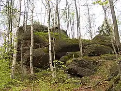 Skály na severovýchodním úbočí vrcholu Špičák