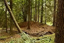 Old gold placer claim near Lipka, Vimperk.jpg