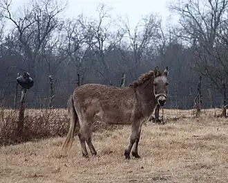 alternativní popis obrázku chybí