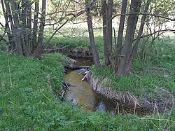 Olešenský potok pod Hostkovicemi