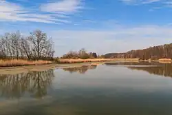 Olešnický rybník ze silnice