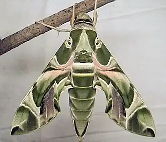 alternativní popis obrázku chybí