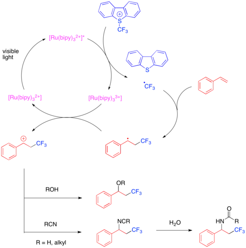 Fotoredoxně katalyzované oxy- a aminotrifluormethylace
