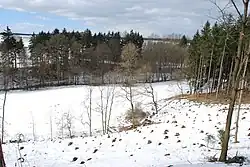 Údolí Oltyňského potoka pod rybníkem Mlýnský stádlec