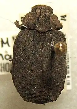 alternativní popis obrázku chybí