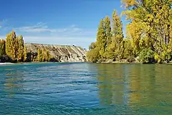 Clutha River ve městě Albert Town