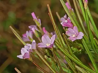 alternativní popis obrázku chybí