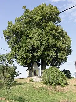 Pohled na kapličku Panny Marie z roku 1861 v Ondříkovicích
