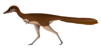 popis obrázku chybí