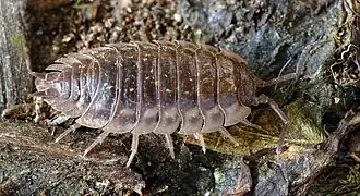 alternativní popis obrázku chybí