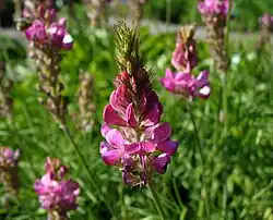 alternativní popis obrázku chybí