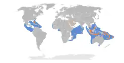 Areál rozšíření