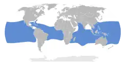 Areál rozšíření