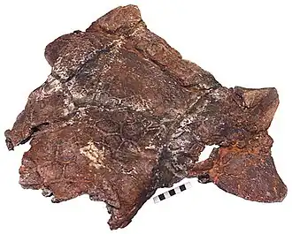 alternativní popis obrázku chybí