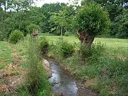 Potok nedaleko silnice spojující Týniště a Bykáň