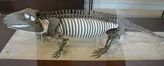 alternativní popis obrázku chybí