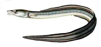 alternativní popis obrázku chybí