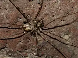 alternativní popis obrázku chybí