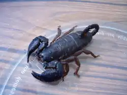 alternativní popis obrázku chybí