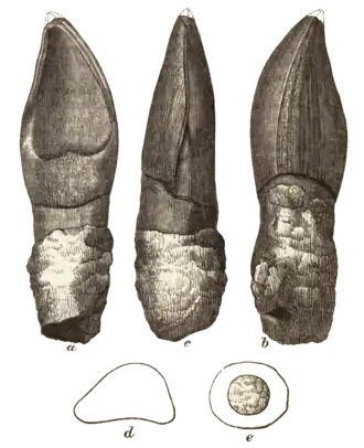 alternativní popis obrázku chybí