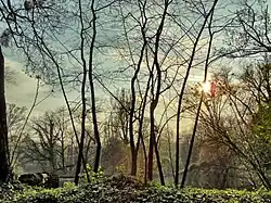 Příroda ostrova Bolko