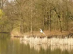 Pobřeží ostrova Bolko