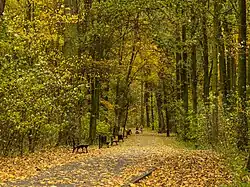 Park Miejski na Wyspie Bolko