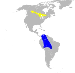 Areál výskytu:      Hnízdiště      Zimoviště
